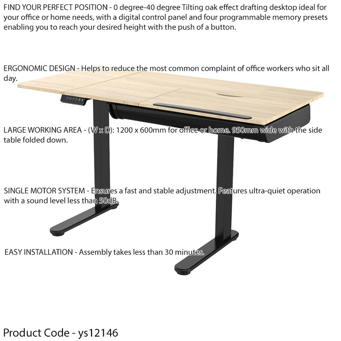 1200 x 600mm Black Oak Electric Standing Drafting Desk - Height Adjustable Tilt