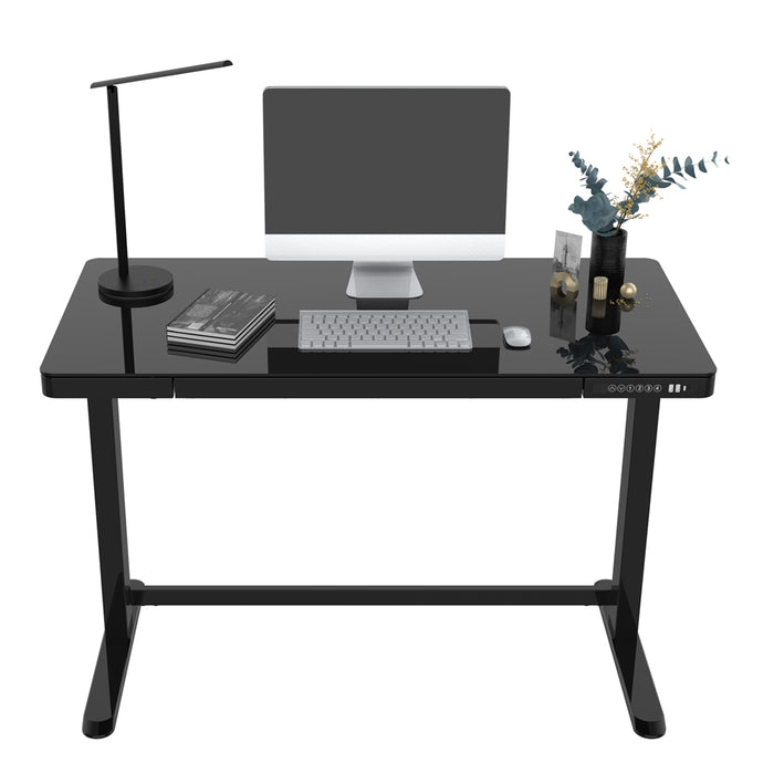 1200 x 600mm Black Electric Sit & Stand Desk USB & Twin Monitor Bracket Standing