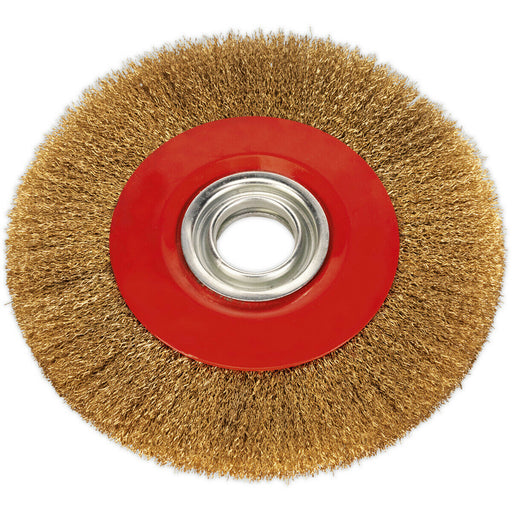 200 x 13mm Wire Brush Wheel - Brass Coated Steel - 32mm Bore - Bench Grinding Loops