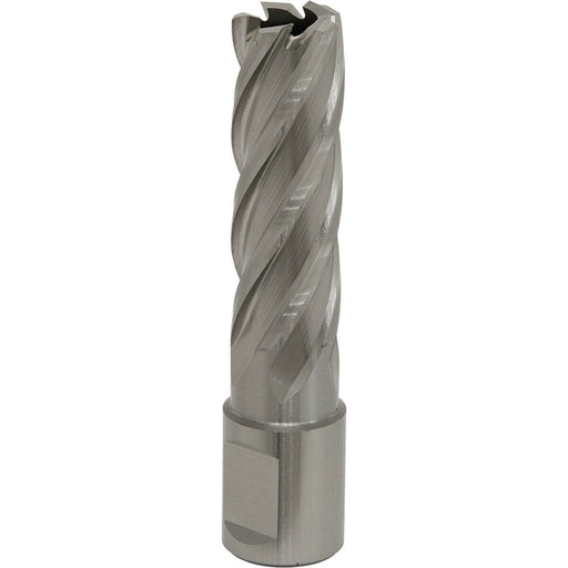 17mm x 50mm Depth Rotabor Cutter - M2 Steel Annular Metal Core Drill 19mm Shank Loops