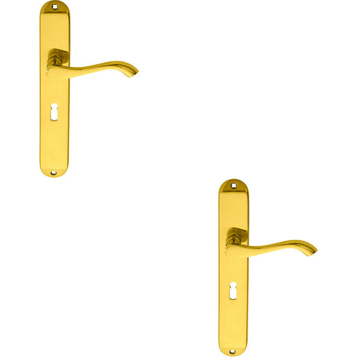 2x PAIR Curved Handle on Long Slim Lock Backplate 241 x 40mm Polished Brass Loops