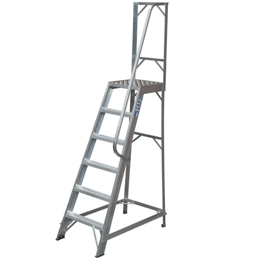 1.5m Heavy Duty Single Sided Fixed Step LaddersHandrail Platform Safety Barrier Loops