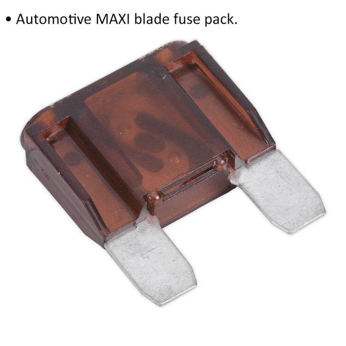 10 PACK 70A Automotive MAXI Blade Fuse Pack - 2 Prong Vehicle Circuit Fuses Loops