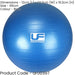 65cm Swiss Gym Ball & Pump - 500KG Burst Resistance - Exercise Workout Ball