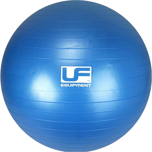 65cm Swiss Gym Ball & Pump - 500KG Burst Resistance - Exercise Workout Ball