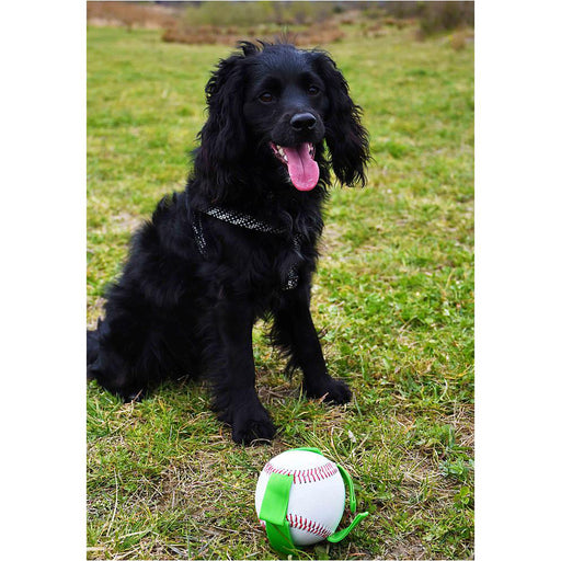 Dog Baseball Ball - Outdoor Pet Throw Chew Toy Indoor & Outdoor Play