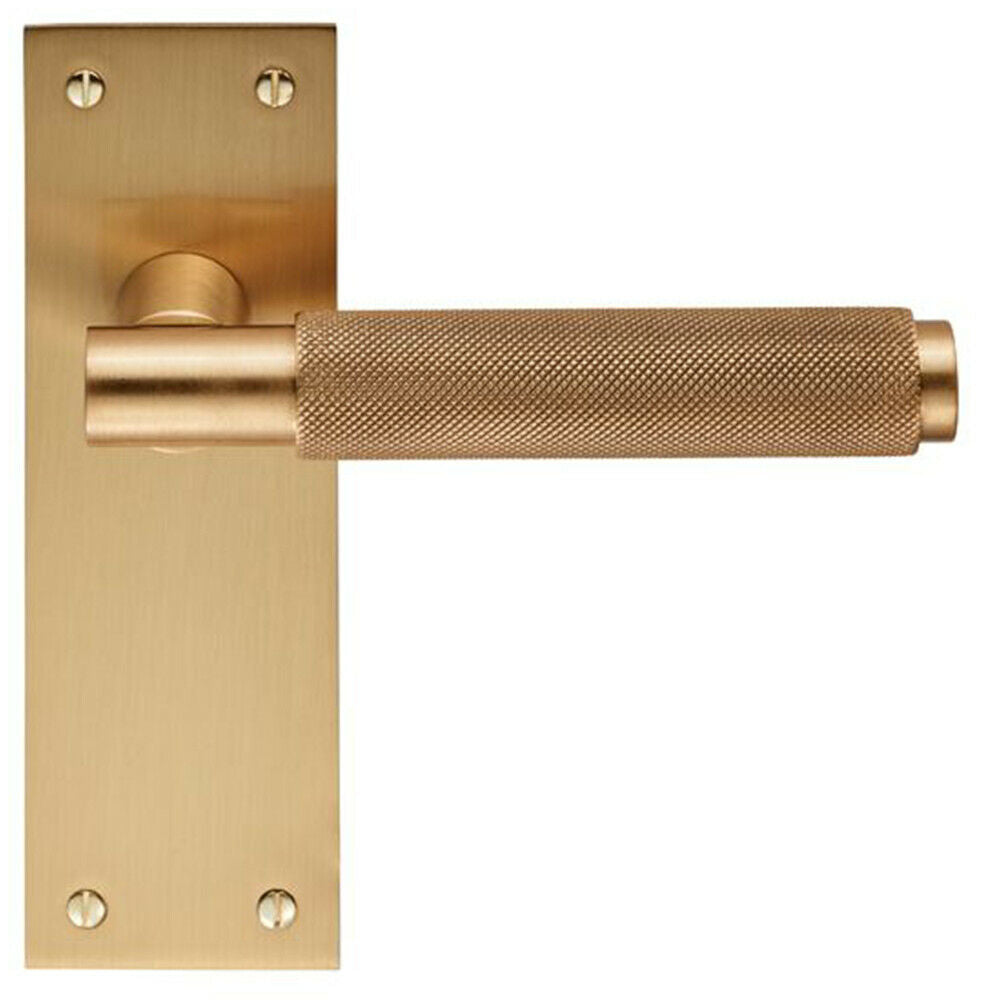 Single Brass Door Handles