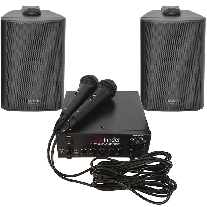 Home Karaoke Machine Kit Speakers & Microphones Player Amplifier Children's TV