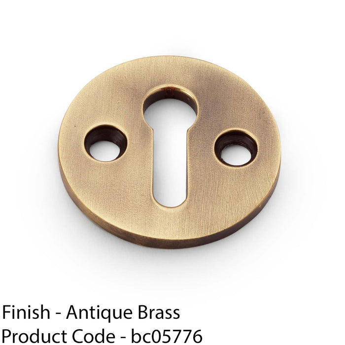 Round Standard Lock Profile Escutcheon - Antique Brass Door Key Plate 1