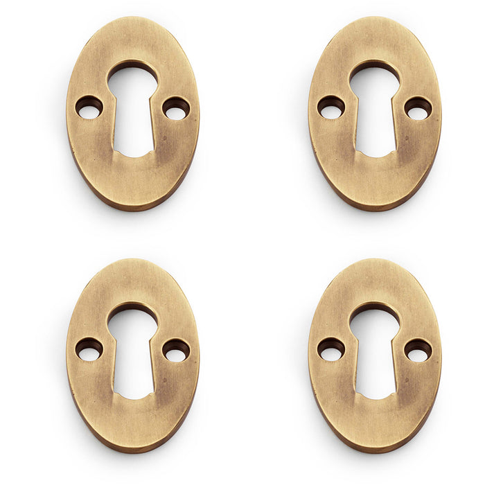 4 PACK Oval Standard Lock Profile Escutcheon Antique Brass Door Key Plate