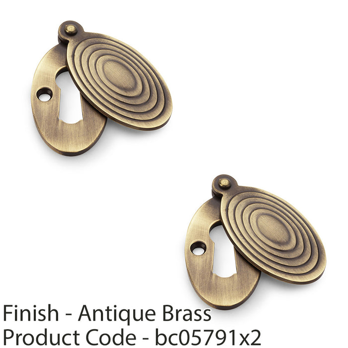 2 PACK Oval Standard Lock Profile Escutcheon & Ringed Swing Cover Antique Brass 1