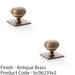 2 PACK Round Cabinet Door Knob & Matching Backplate Antique Brass 38mm Handle 1