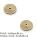 2 PACK Round Kitchen Door Knob Backplate Antique Brass 30mm Circular Plate 1