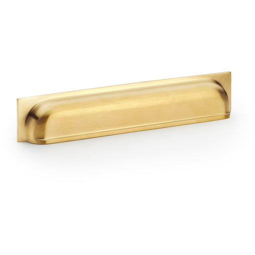 Backplate Cup Handle - Satin Brass 203mm Centres Solid Brass Shaker Drawer Pull