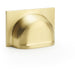 Backplate Cup Handle - Satin Brass 40mm Centres Solid Brass Shaker Drawer Pull