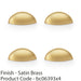 4 PACK Rear Cup Handle Satin Brass 57mm Centres Solid Brass Shaker Unit Pull 1