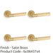 4 PACK SOLID BRASS Hex Door Handle Set Satin Brass Industrial Lever Round Rose 1