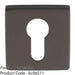 Screwless Square EURO Profile Escutcheon - Anthracite 50mm Door Key Plate 1