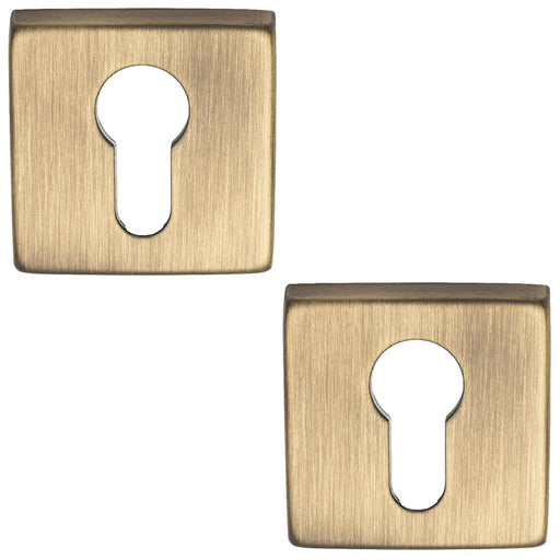 2 PACK Screwless Round EURO Profile Escutcheon Antique Brass 50mm Door Key Plate