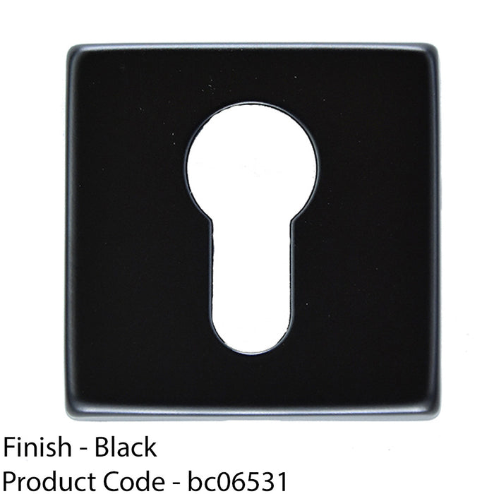 Screwless Round EURO Profile Escutcheon - Matt Black 50mm Door Key Plate 1