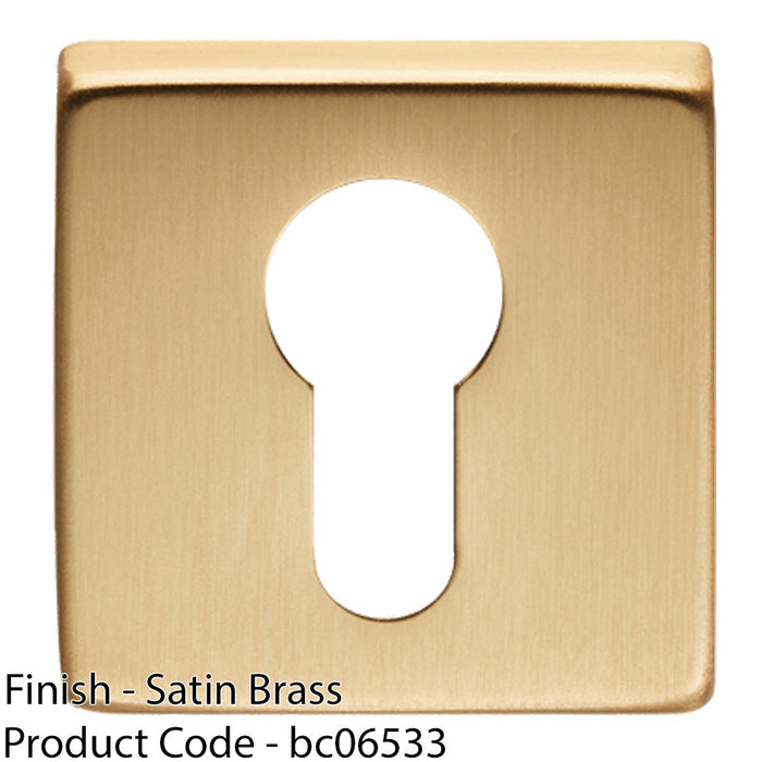 Screwless Round EURO Profile Escutcheon - Satin Brass 50mm Door Key Plate 1