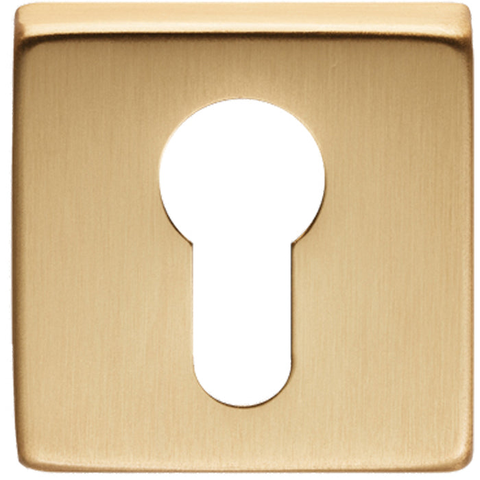 Screwless Round EURO Profile Escutcheon - Satin Brass 50mm Door Key Plate