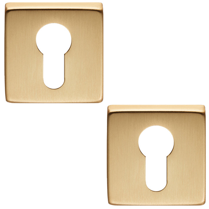 2 PACK Screwless Round EURO Profile Escutcheon Satin Brass 50mm Door Key Plate