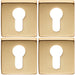 4 PACK Screwless Round EURO Profile Escutcheon Satin Brass 50mm Door Key Plate