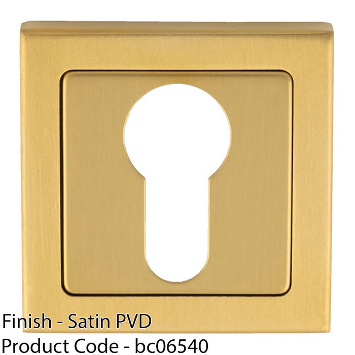 Screwless Round EURO Profile Escutcheon - Satin PVD 52mm Door Key Plate 1