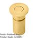 Floor Recessed Dust Excluding Flush Bolt Socket - 45mm Depth Polished Brass 1