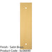 Kitchen Door Pull Handle Backplate - Satin Brass 168x40mm - 128mm Centres 1