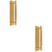 2 PACK Lined Reeded Drawer Pull Handle & Matching Backplate Satin Brass 168x40mm