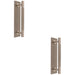 2 PACK Lined Reeded Pull Handle & Matching Backplate Satin Nickel 168 x 40mm