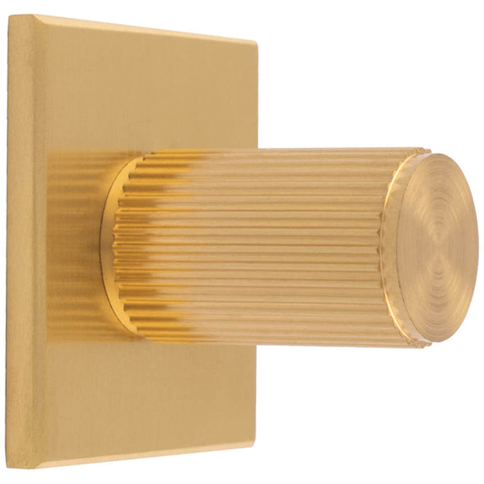 Reeded Cylinder Cabinet Door Knob & Matching Backplate - Satin Brass 40 x 40mm