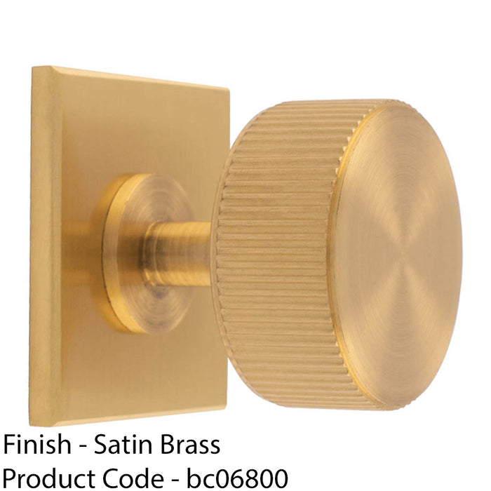 Reeded Radio Cabinet Door Knob & Matching Backplate Lined Satin Brass 40 x 40mm 1