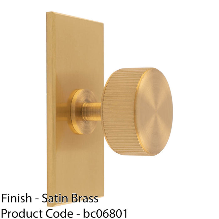 Reeded Radio Cabinet Door Knob & Matching Backplate Lined Satin Brass 76 x 40mm 1