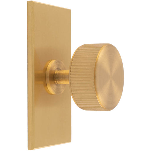 Reeded Radio Cabinet Door Knob & Matching Backplate Lined Satin Brass 76 x 40mm