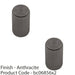 2 PACK Lined Reeded Cylinder Door Knob 18mm Dia Anthracite Grey Pull Handle 1