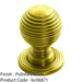 Reeded Ball Door Knob - 23mm Polished Brass Lined Cupboard Pull Handle & Rose 1