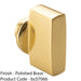 Polished Brass Large Cylinder Thumbturn Adapter - Twist Turn 1