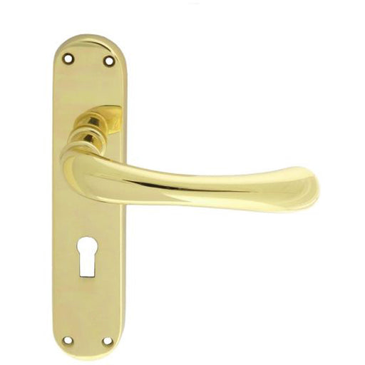 Smooth Rounded Latch & Lock Door Handle - Polished Brass Lever On Backplate