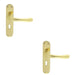 2 PACK Smooth Rounded Latch & Lock Door Handle Polished Brass Lever On Backplate