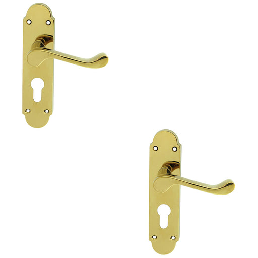 2 PACK Victorian Scroll Latch & EURO Lock Door Handle Brass PVD Shaped Backplate