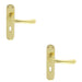 2 PACK Rounded Smooth Latch & Lock Door Handle Polished Brass Lever On Backplate