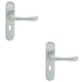 2 PACK Rounded Smooth Latch & Lock Door Handle Satin Chrome Lever On Backplate