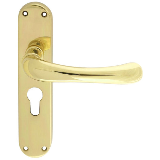 Rounded Smooth Latch & EURO Lock Door Handle - Polished Brass Lever On Backplate