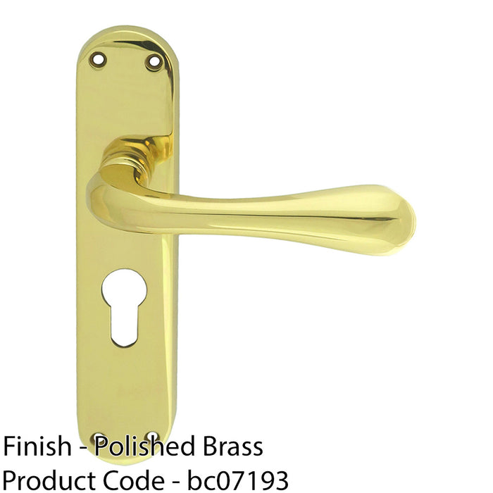 Rounded Flaired Latch & EURO Lock Door Handle - Polished Brass Lever Backplate 1