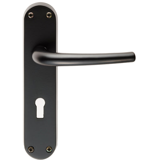 Rounded Sleek Latch & Lock Door Handle - Matt Black Lever On Backplate