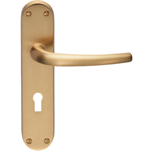 Rounded Sleek Latch & Lock Door Handle - Satin Brass Lever On Backplate