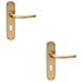 2 PACK Rounded Sleek Latch & Lock Door Handle Satin Brass Lever On Backplate